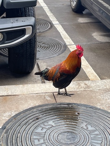 Kauai Princville, Kauai